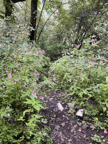 Photograph taken at Hemkund Sahib on 2026-08-26 at 07:00 — iPhone 13.