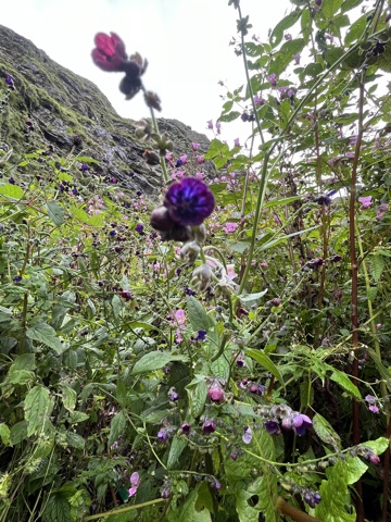 Photograph taken at Hemkund Sahib on 2026-08-26 at 08:02 — iPhone 13.