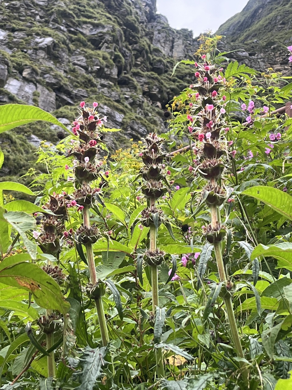 Photograph taken at Hemkund Sahib on 2026-08-26 at 08:20 — iPhone 13.