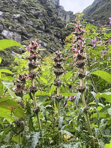 Photograph taken at Hemkund Sahib on 2026-08-26 at 08:20 — iPhone 13.