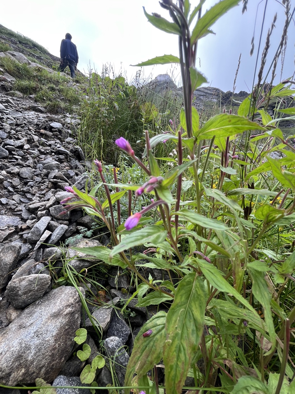 Photograph taken at Hemkund Sahib on 2026-08-26 at 09:11 — iPhone 13.