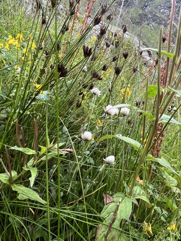 Photograph taken at Hemkund Sahib on 2026-08-26 at 09:11 — iPhone 13.