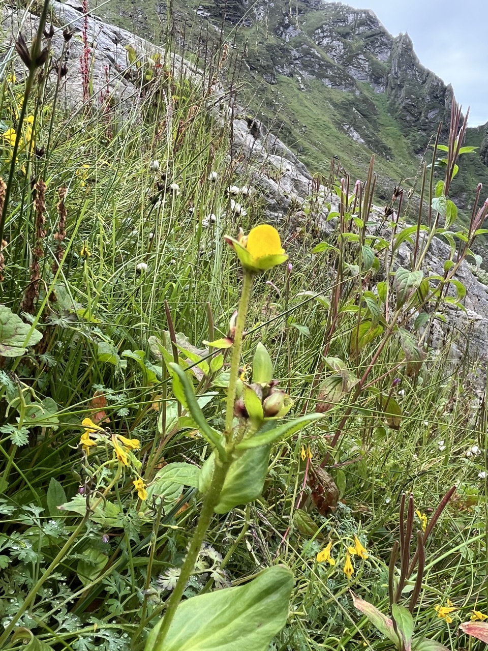 Photograph taken at Hemkund Sahib on 2026-08-26 at 09:11 — iPhone 13.