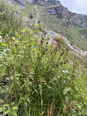 Photograph taken at Hemkund Sahib on 2026-08-26 at 09:11 — iPhone 13.