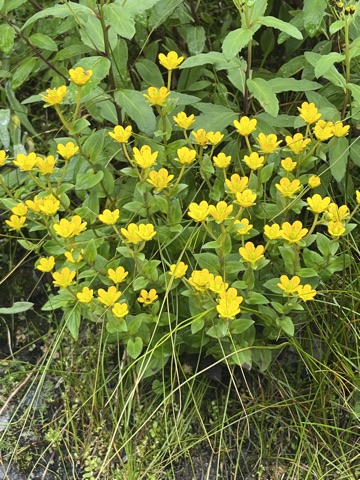 Photograph taken at Hemkund Sahib on 2026-08-26 at 09:13 — iPhone 13.