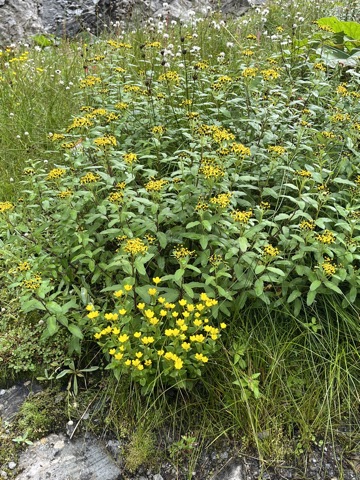 Photograph taken at Hemkund Sahib on 2026-08-26 at 09:13 — iPhone 13.