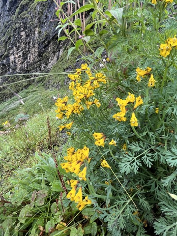 Photograph taken at Hemkund Sahib on 2026-08-26 at 09:16 — iPhone 13.
