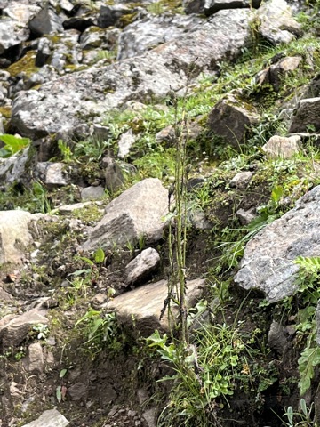Photograph taken at Hemkund Sahib on 2026-08-26 at 09:36 — iPhone 13.