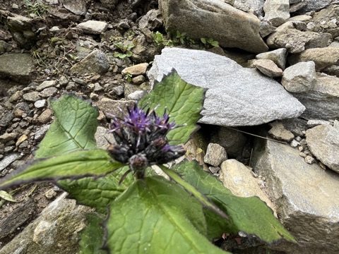 Photograph taken at Hemkund Sahib on 2026-08-26 at 10:11 — iPhone 13.