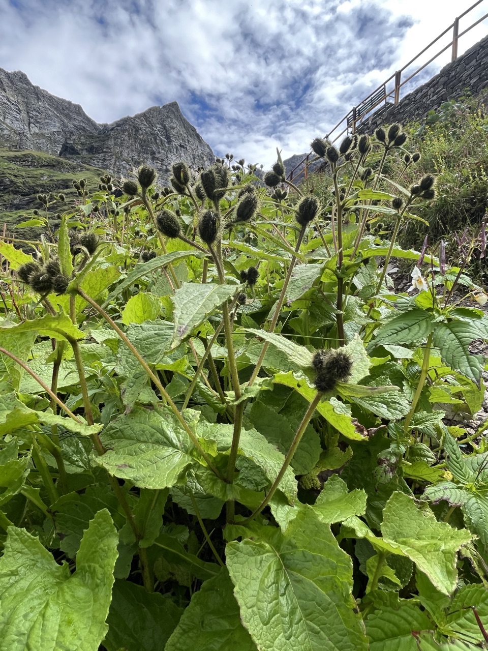Photograph taken at Hemkund Sahib on 2026-08-26 at 10:11 — iPhone 13.