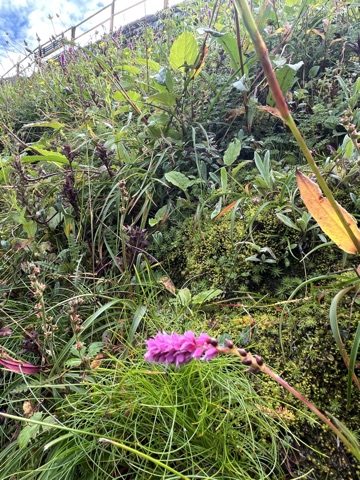 Photograph taken at Hemkund Sahib on 2026-08-26 at 10:12 — iPhone 13.