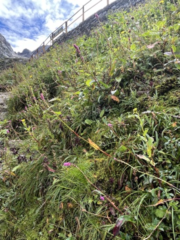 Photograph taken at Hemkund Sahib on 2026-08-26 at 10:12 — iPhone 13.