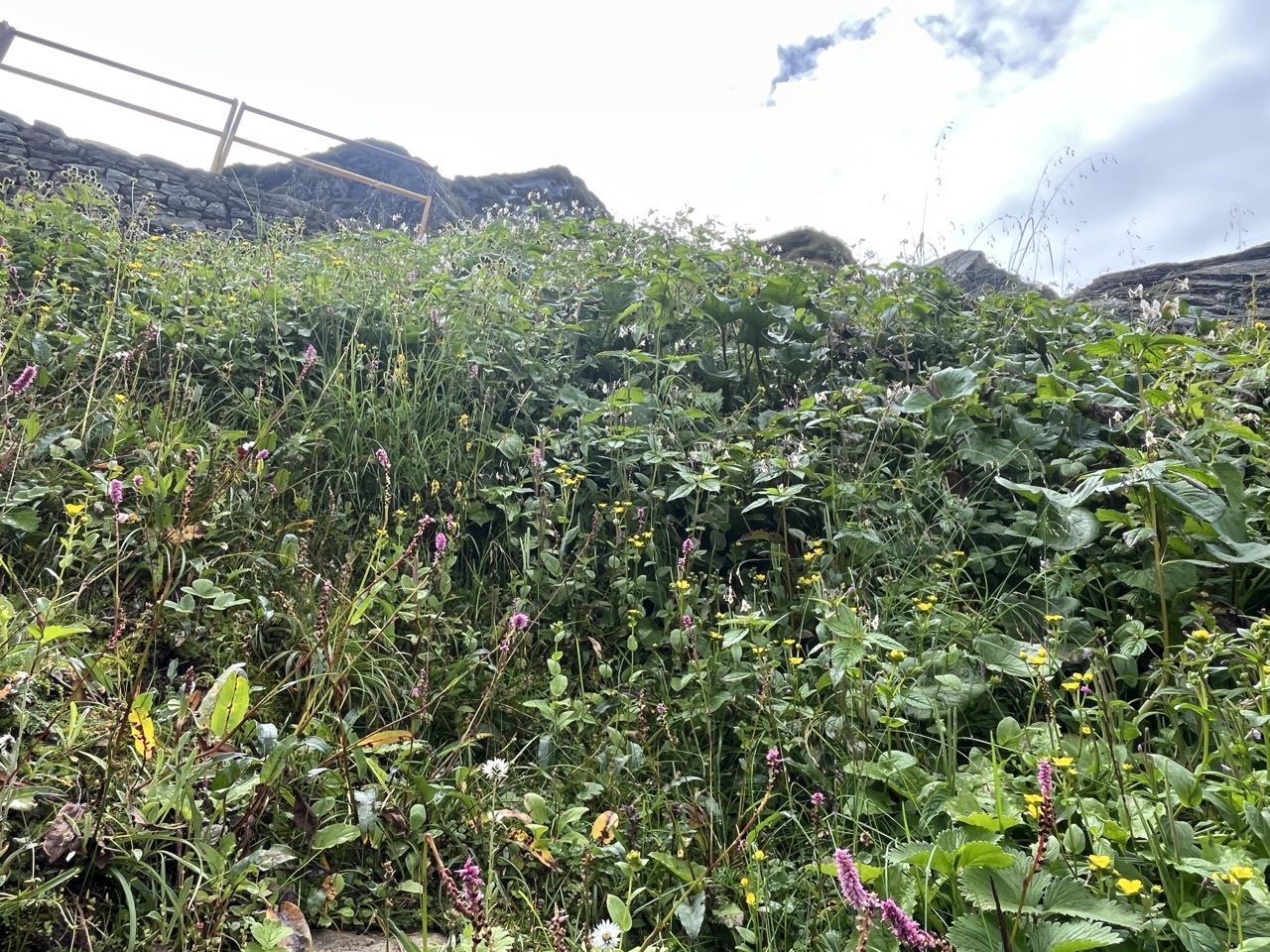 Photograph taken at Hemkund Sahib on 2026-08-26 at 10:12 — iPhone 13.
