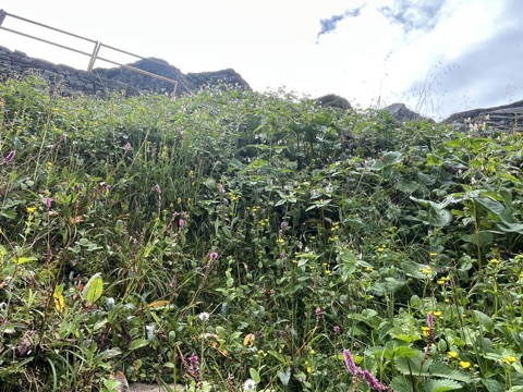 Photograph taken at Hemkund Sahib on 2026-08-26 at 10:12 — iPhone 13.