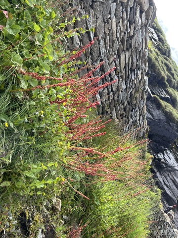 Photograph taken at Hemkund Sahib on 2026-08-26 at 10:22 — iPhone 13.