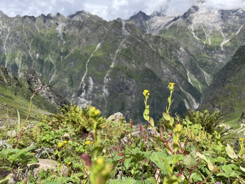 Photograph taken at Hemkund Sahib on 2026-08-26 at 10:37 — iPhone 13.