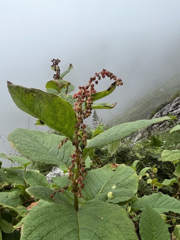 Photograph taken at Hemkund Sahib on 2026-08-26 at 12:26 — iPhone 13.