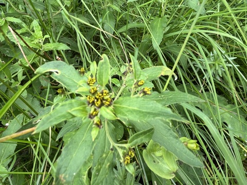 Photograph taken at Hemkund Sahib on 2026-08-26 at 12:47 — iPhone 13.