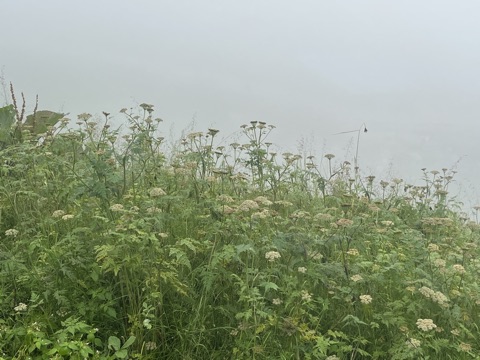 Photograph taken at Hemkund Sahib on 2026-08-26 at 12:48 — iPhone 13.